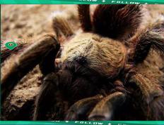 Lanbo-莱万多夫斯基赛事官方发布比分优势明显新规，湖人争议不断！的简单介绍