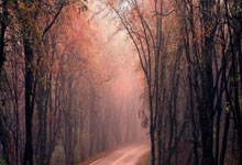 兰博竞技-欧超杯倒计时；拜仁慕尼黑集结日单刀错失；细节引发关注；气氛紧张；细节决定成败的简单介绍